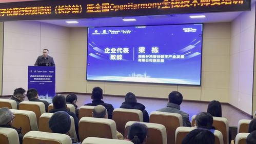 開鴻智谷攜手開源基金會成功舉辦校源行師資培訓 推動計算機技術教育發(fā)展